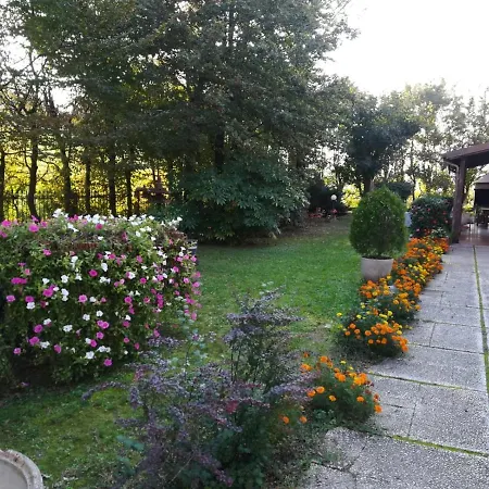 公寓式酒店 Padus *